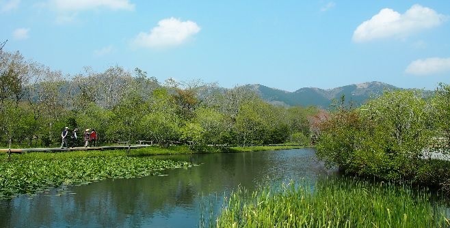 箱根湿生花園 箱根町観光協会公式サイト 温泉 旅館 ホテル 観光情報満載