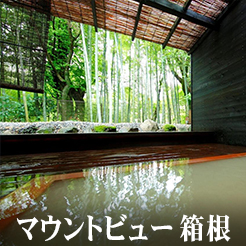 マウントビュー箱根