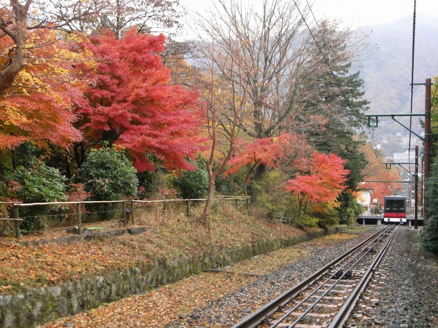 紅葉シーズンは交通機関にお気をつけください 箱根町観光協会公式サイト 温泉 旅館 ホテル 観光情報満載