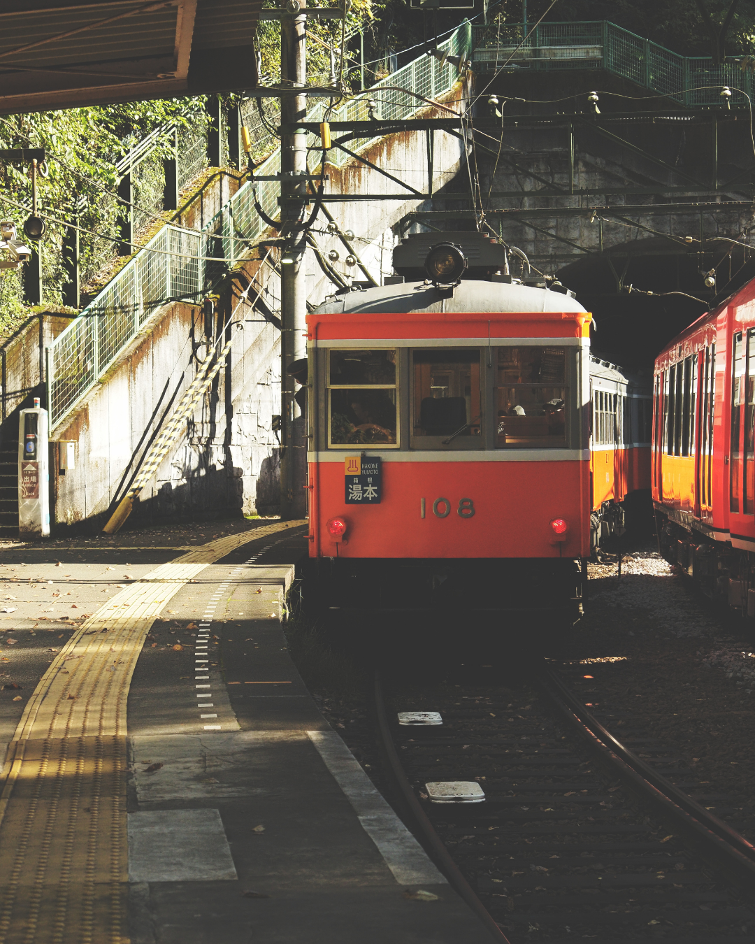Autumn Photo Walk 「箱根を彩る秋の草花」 supported by OM SYSTEM
