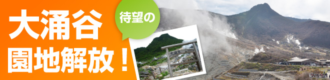 大涌谷園地解放！