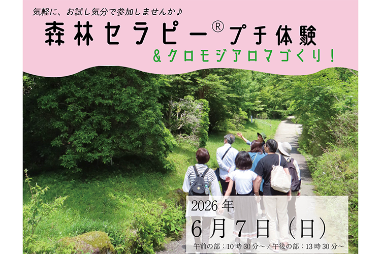 森林セラピープチ体験