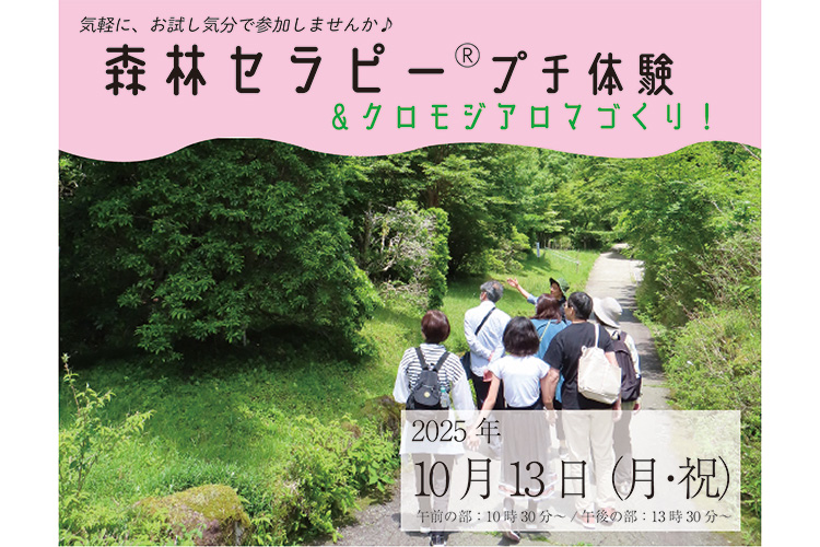 森林セラピープチ体験&クロモジのアロマづくり