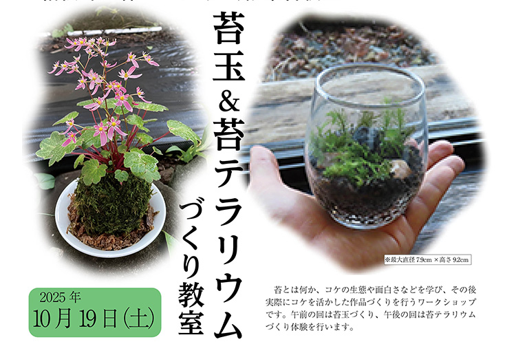苔玉&苔テラリウムづくり教室