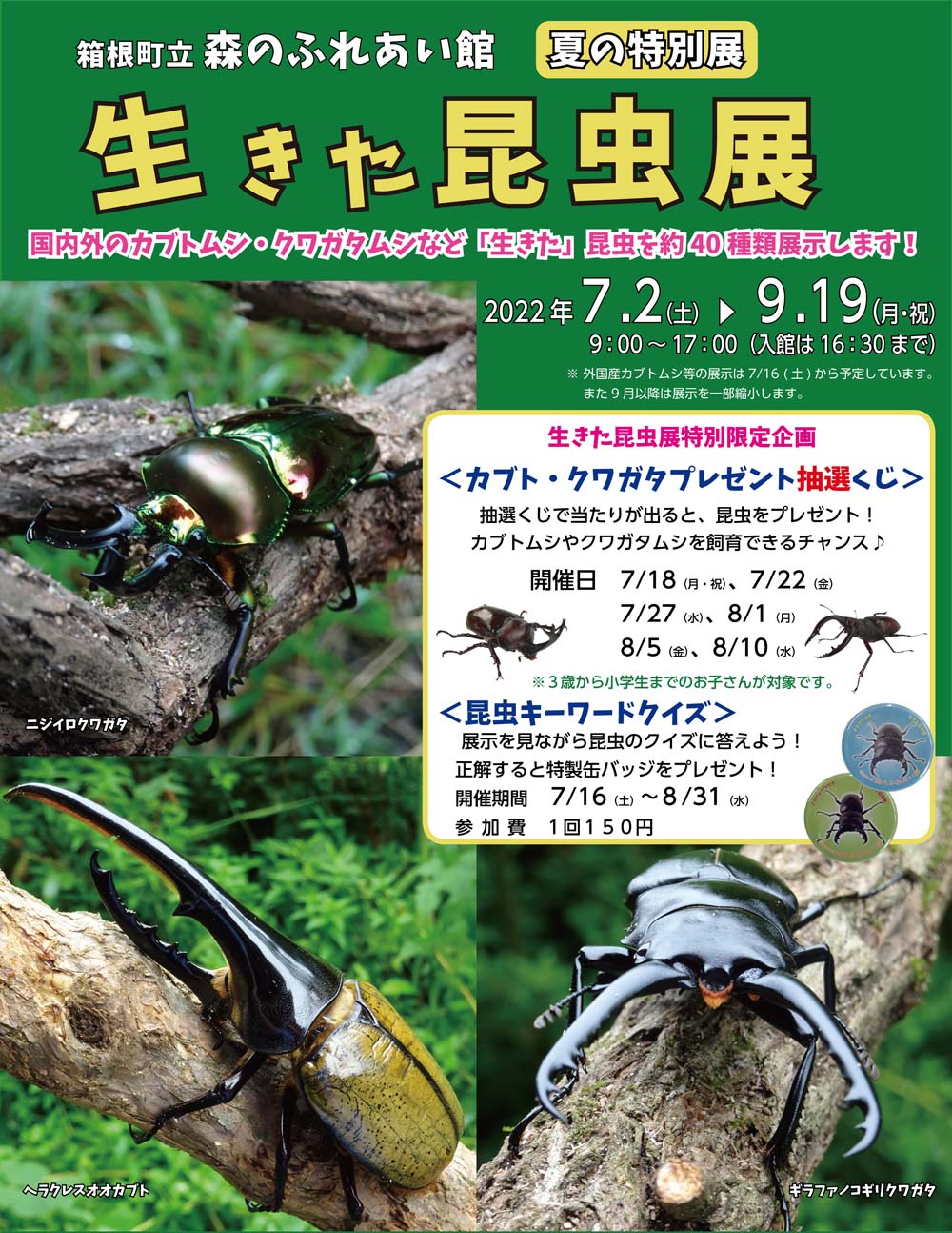 箱根町立 森のふれあい館 動物や植物の展示をとおして 自然のすばらしさ 森林の大切さを 楽しみながら理解して頂くための施設です