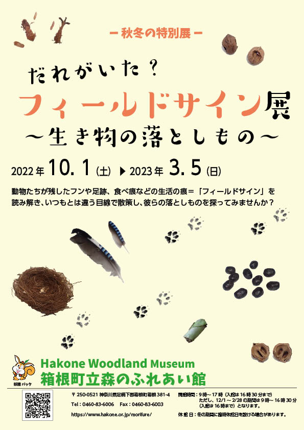 だれがいた フィールドサイン展 生き物の落とし物 箱根町立 森のふれあい館